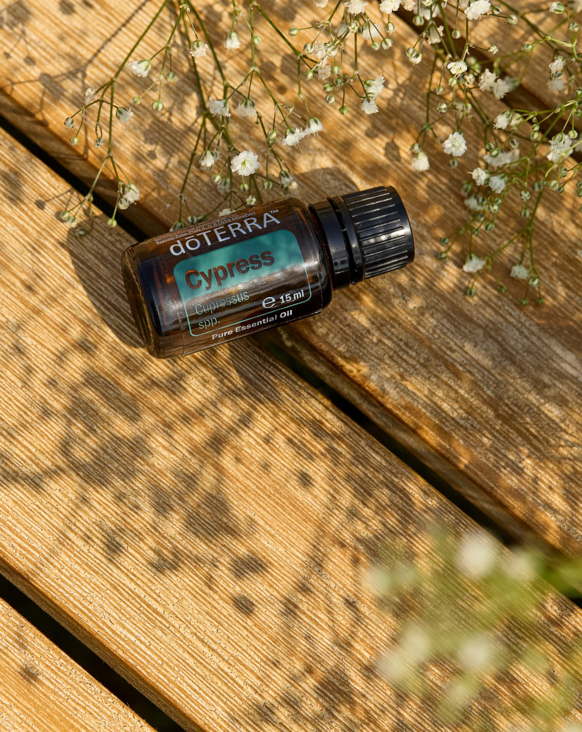 Cyprès dōTERRA, flacon couché sur une terrasse en bois