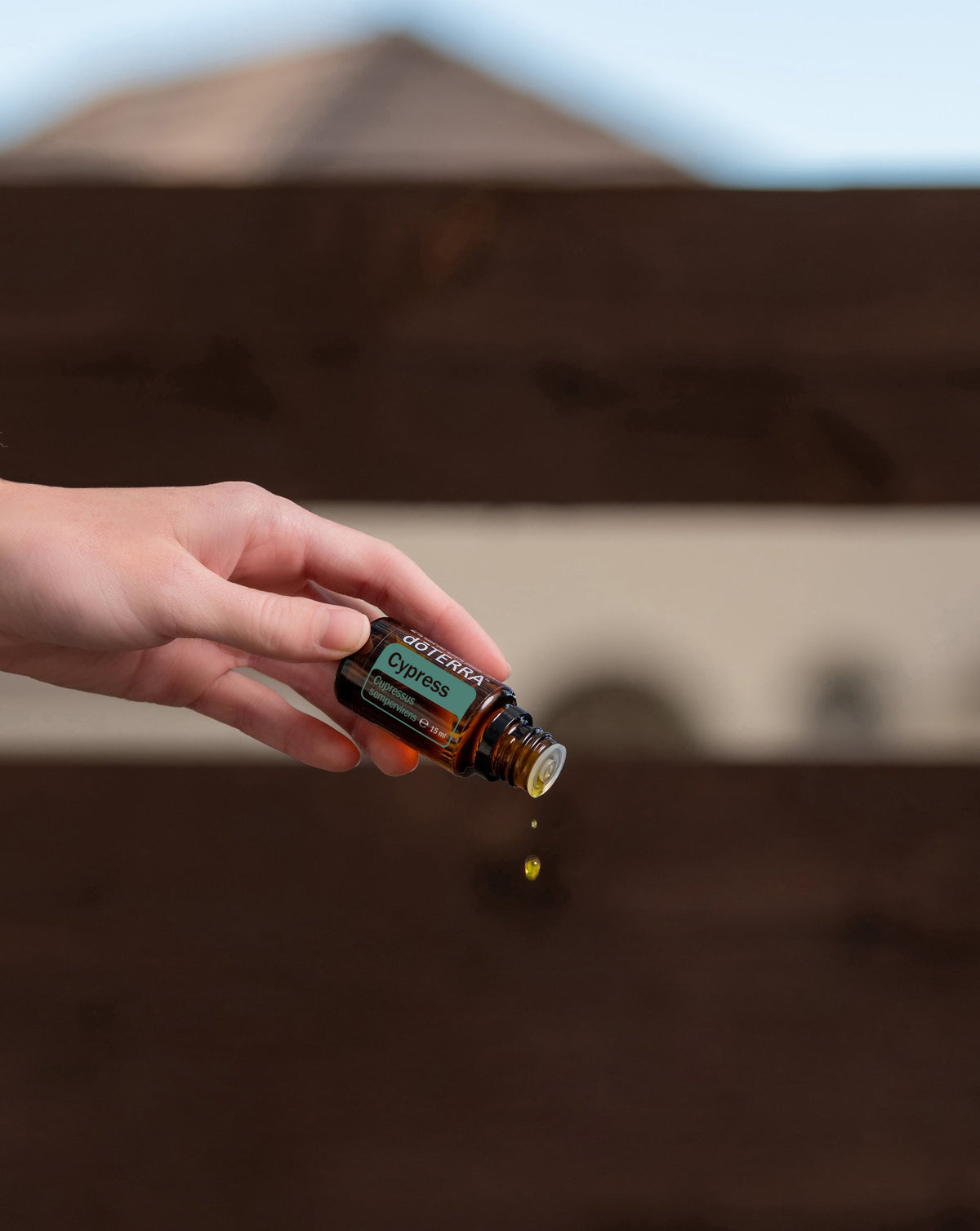 Cyprès dōTERRA, main versant une goutte d'huile essentielle
