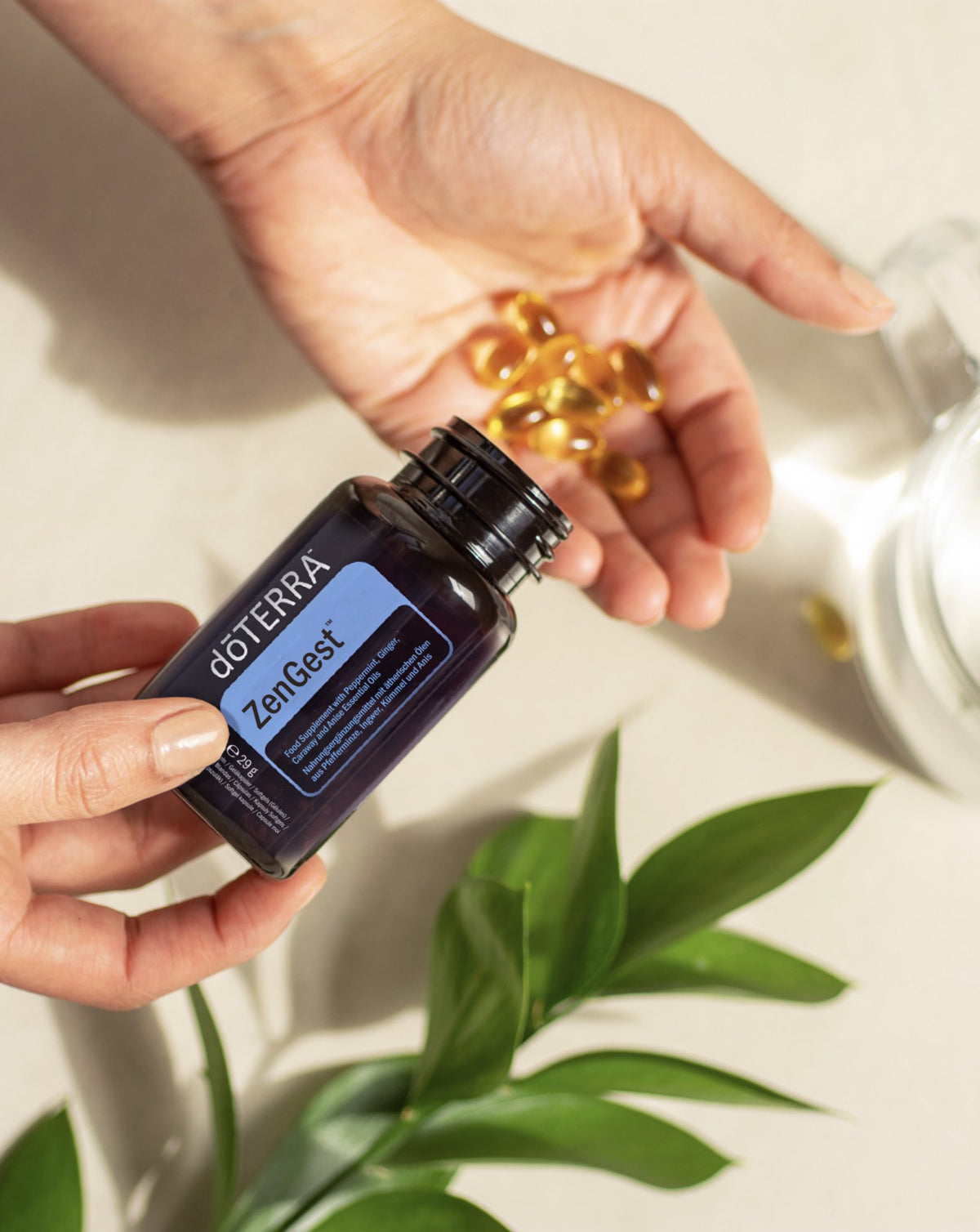Gélules ZenGest dōTERRA, gélules souples versées du flacon