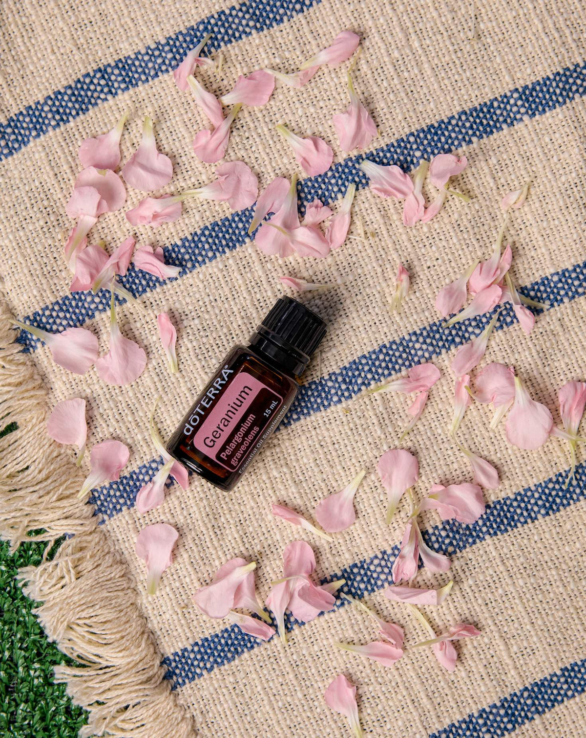 Géranium huile essentielle dōTERRA, flacon et pétales sur un tissu rayé