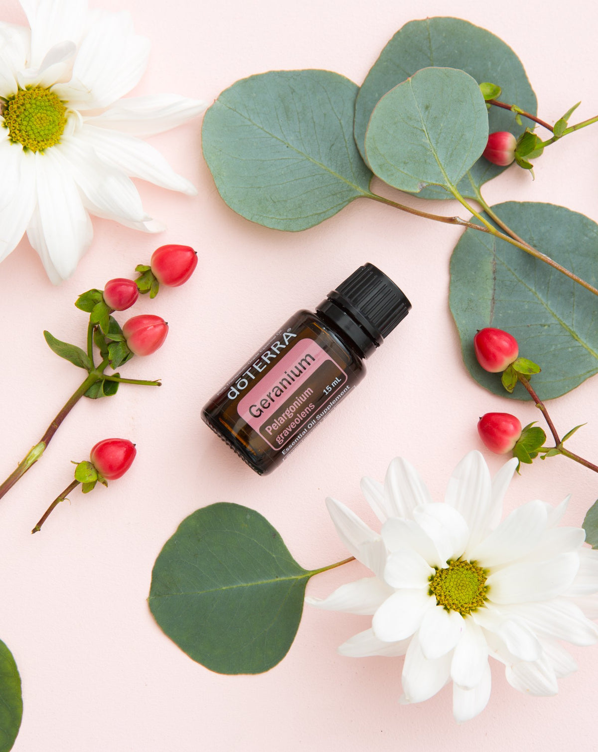 Géranium huile essentielle dōTERRA, flacon, marguerites et eucalyptus