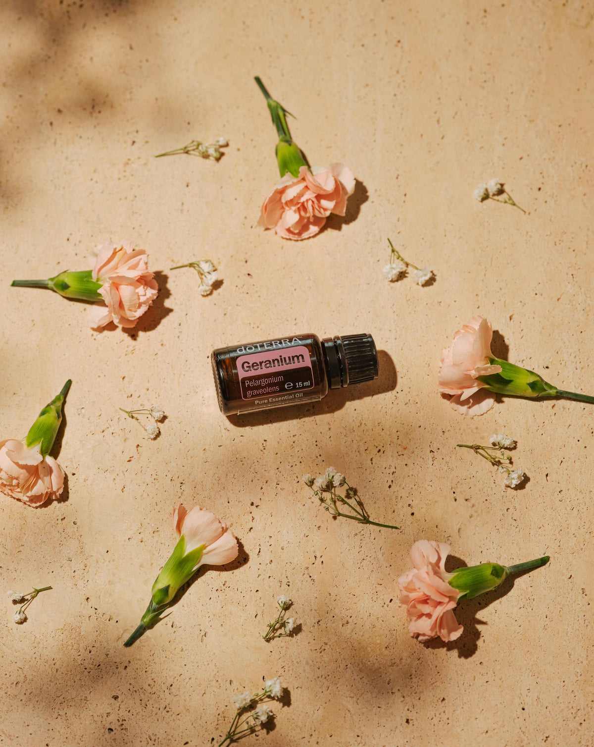 Géranium huile essentielle dōTERRA, flacon et fleurs roses sur fond sable