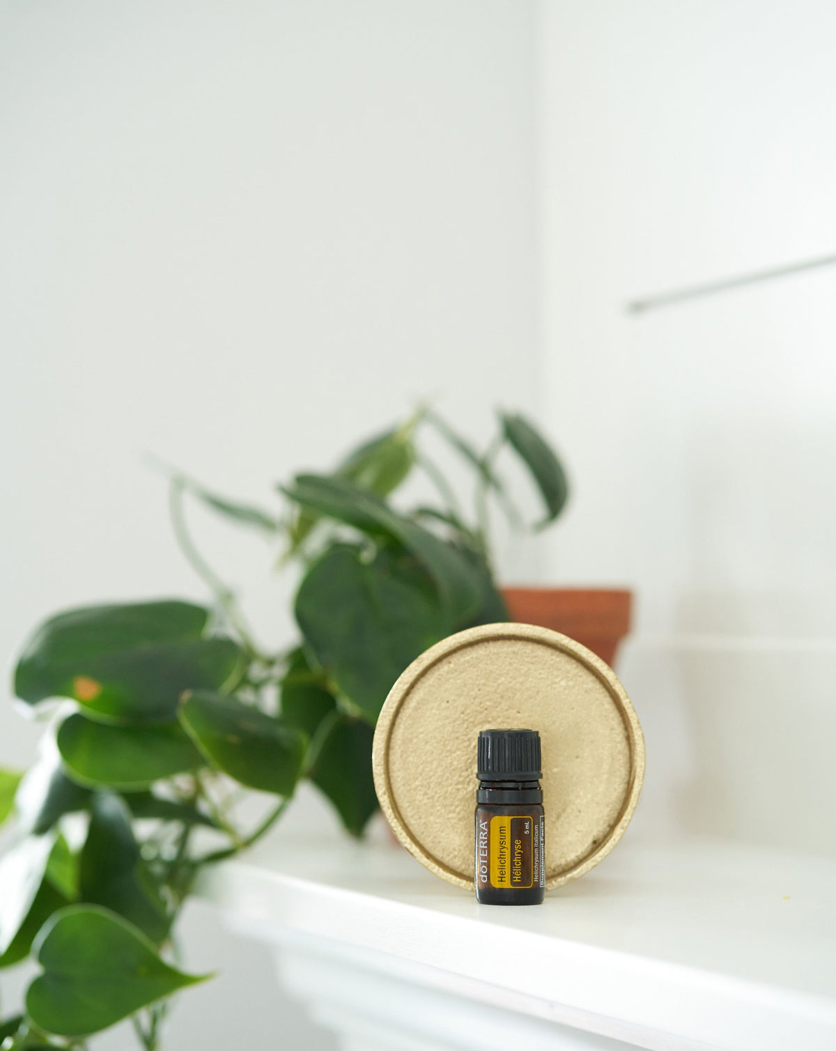 Huile essentielle d'Hélichryse dōTERRA en flacon de 5 ml, mise en situation