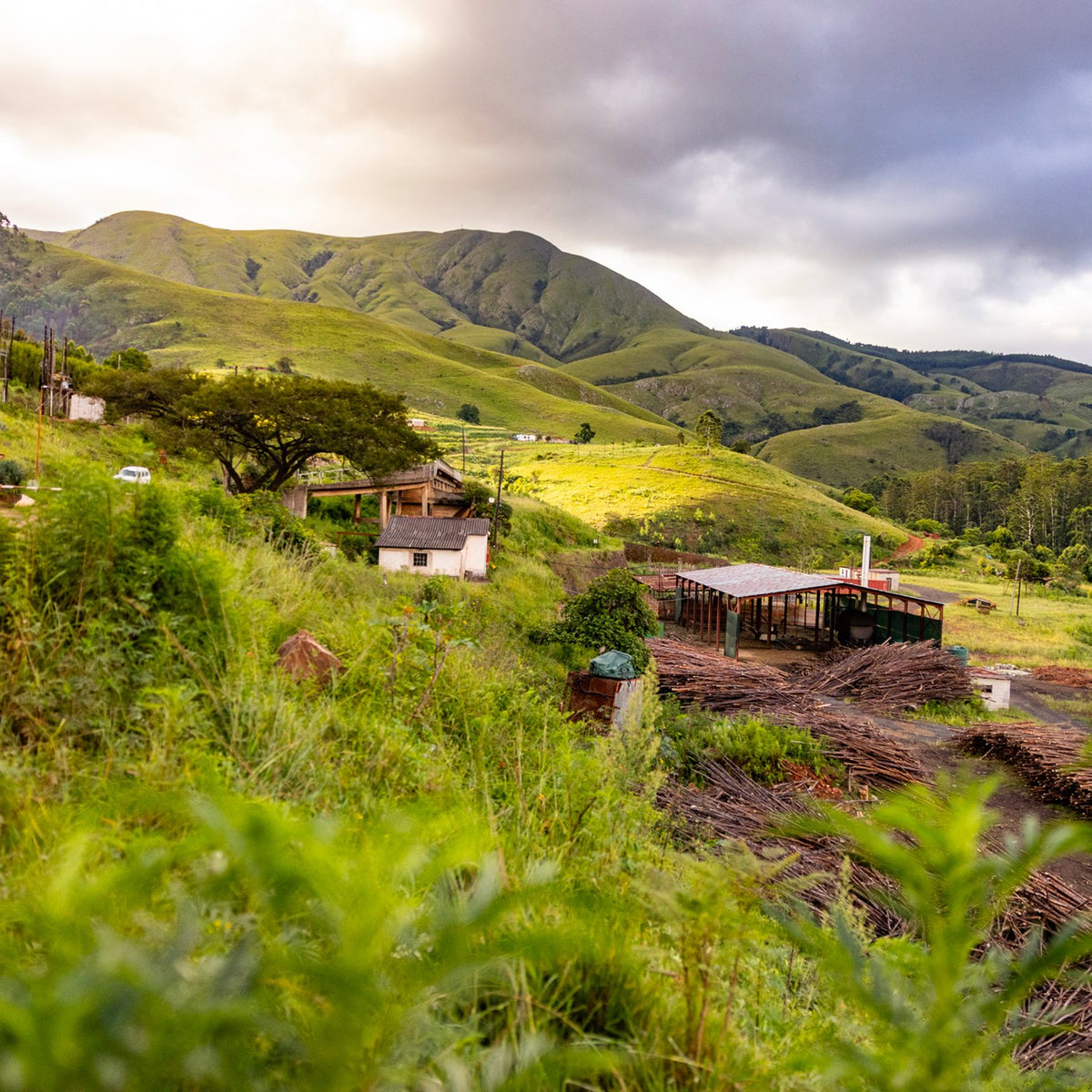Collines cultivées et maisons de producteurs, sous un ciel nuageux