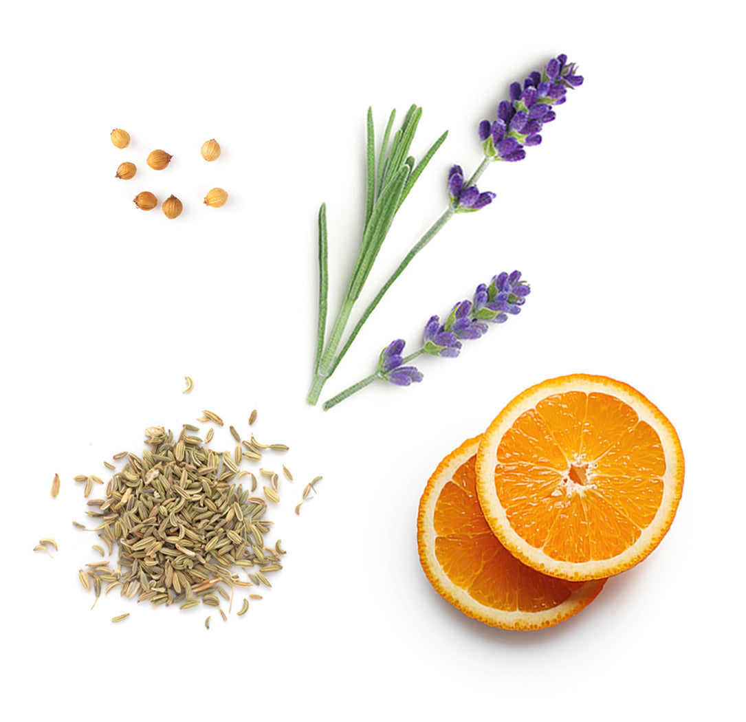Lavande, coriandre, orange sauvage et fenouil, les ingrédients mis en avant des gélules Adaptiv dōTERRA