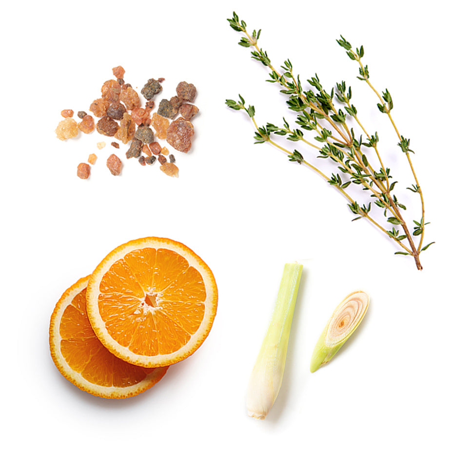 Encens, orange sauvage, litsée, thym, clou de girofle et lemongrass, les ingrédients mis en avant des gélules DDR Prime dōTERRA
