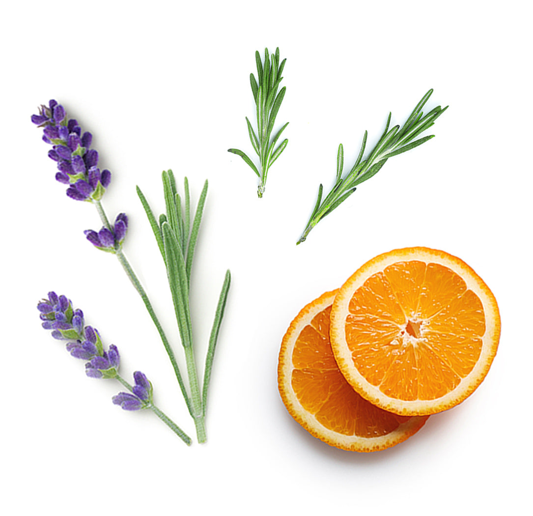 Les ingrédients du mélange Adaptiv dōTERRA : lavande, romarin, orange sauvage, menthe verte et copaiba