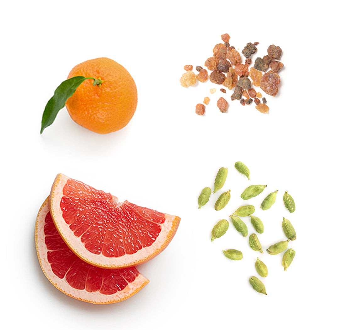 Les ingrédients du mélange Air-X dōTERRA : litsée, mandarine, pamplemousse, encens et cardamome