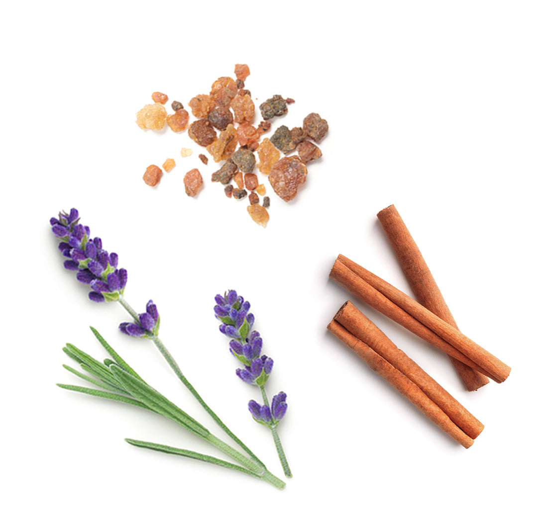 Les ingrédients du mélange Anchor dōTERRA : lavande, genévrier de Virginie, encens, cannelle de Ceylan, bois de santal, poivre noir et patchouli