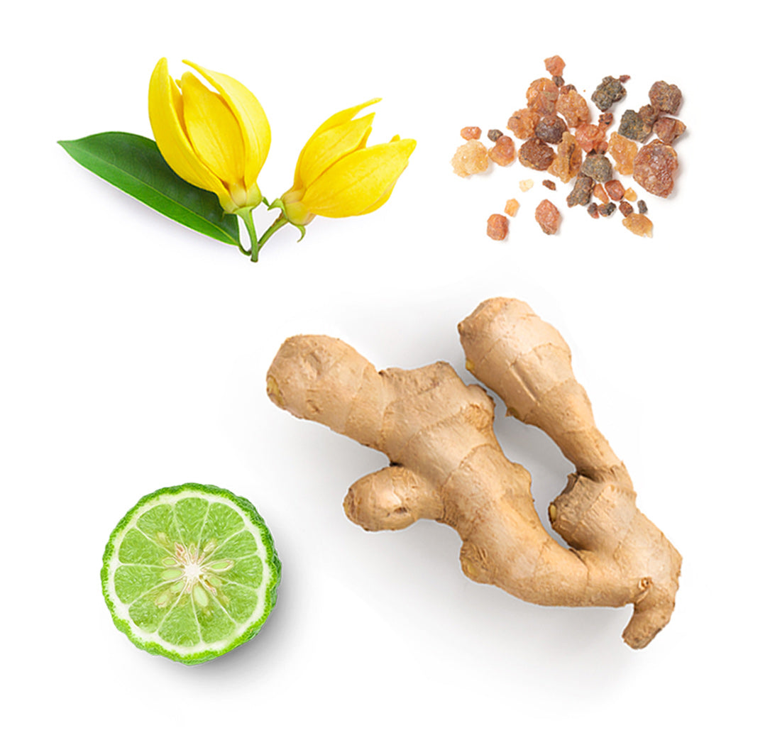 Les ingrédients du mélange Cheer dōTERRA : orange sauvage, anis étoilé, gingembre, bergamote, ylang ylang, encens, lemongrass, fève de Tonka et vanille