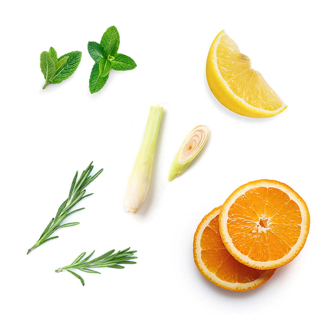 Les ingrédients du mélange Motivate dōTERRA : menthe poivrée, orange sauvage, clémentine, citron, romarin, coriandre, basilic, menthe verte, lemongrass, cardamome, mélisse, fève de Tonka et vanille