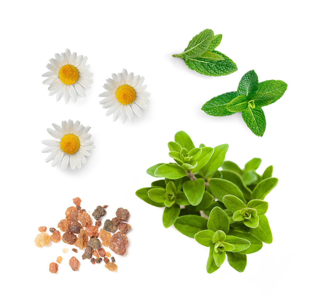 Les ingrédients du mélange PastTense dōTERRA : encens, lavande, menthe poivrée, romarin et noix de coco fractionnée
