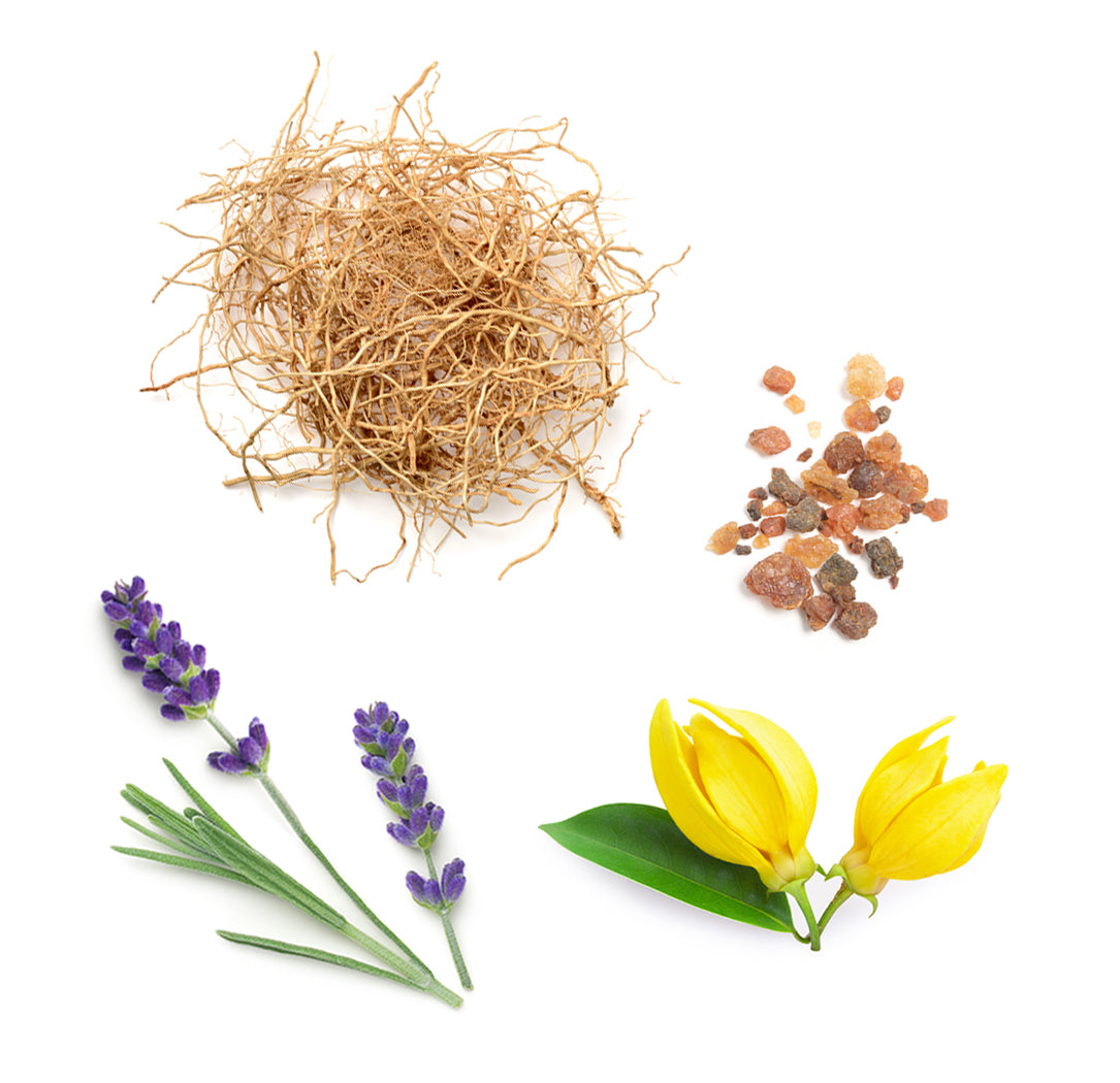 Les ingrédients du mélange Peace dōTERRA : encens, lavande, vétiver, ylang ylang, menthe verte, sauge sclarée et marjolaine