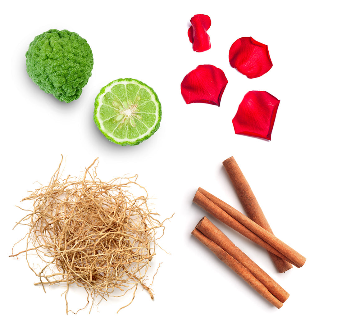 Les ingrédients du mélange Whisper dōTERRA : patchouli, bergamote, bois de santal hawaïen, rose, ylang ylang, jasmin, cannelle de Ceylan et vétiver