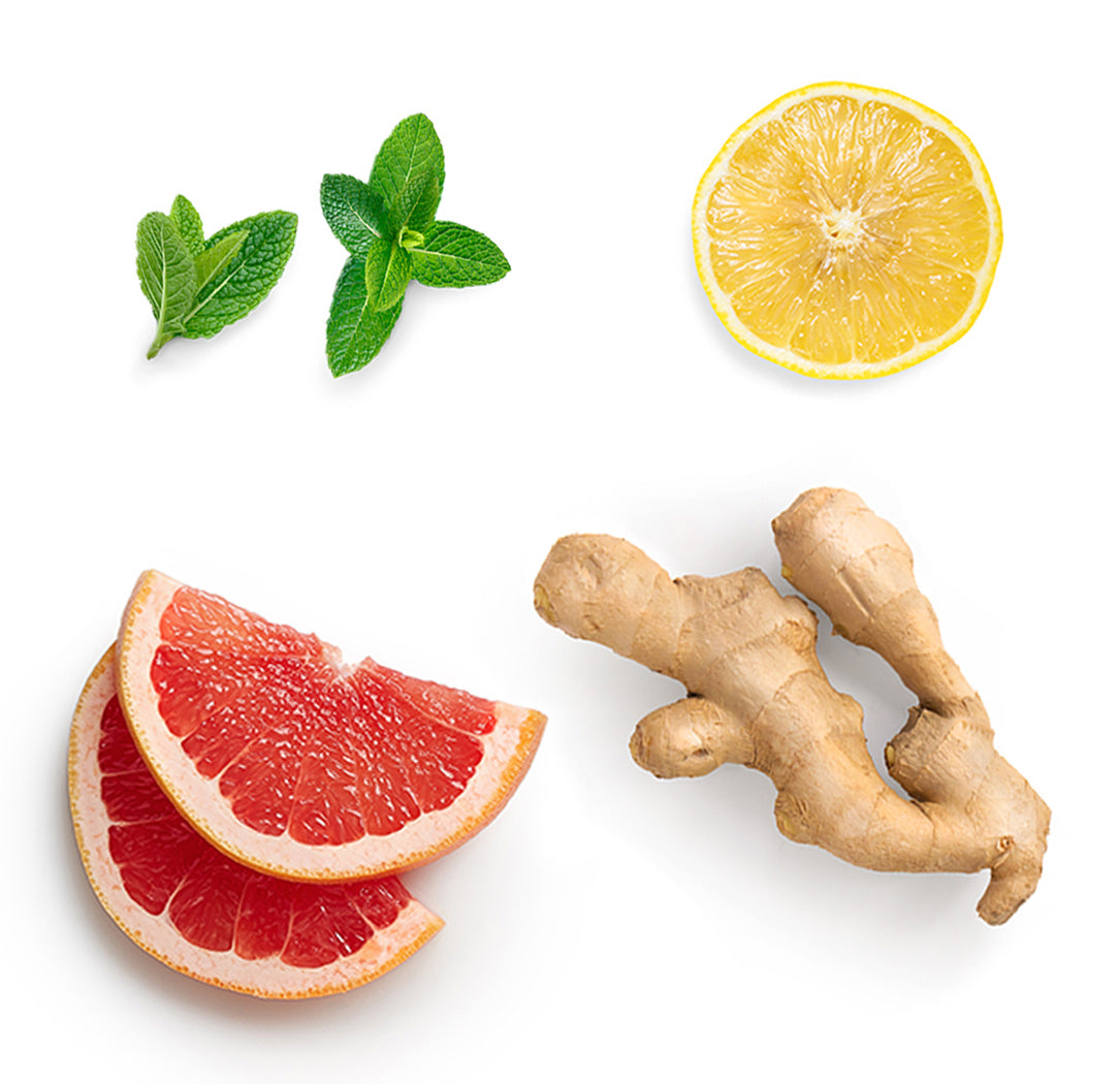 Pamplemousse, citron, menthe poivrée, gingembre et cannelle de Ceylan, les ingrédients mis en avant de la gamme MetaPWR dōTERRA