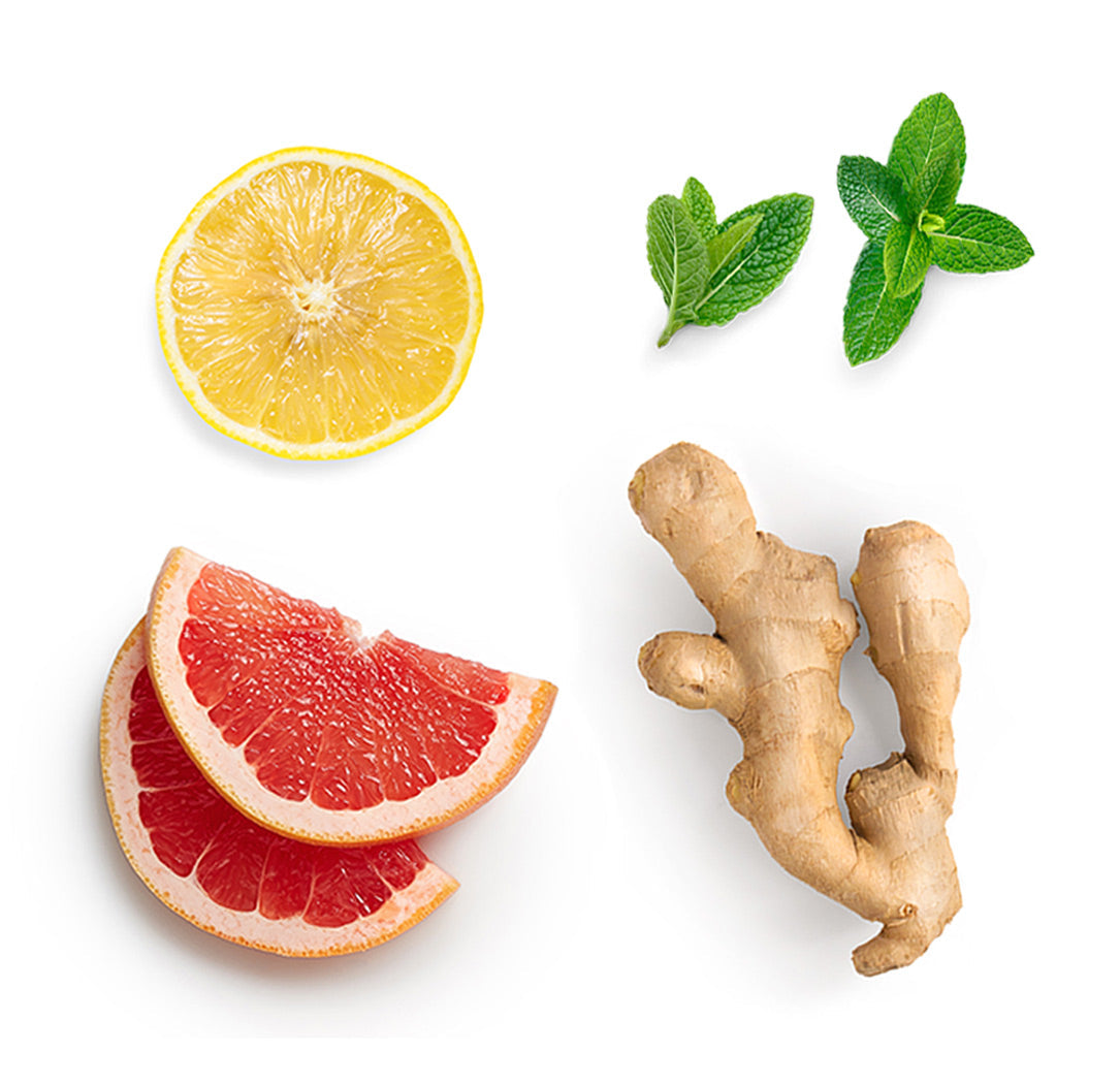 Pamplemousse, citron, menthe poivrée, gingembre et cannelle de Ceylan, les ingrédients mis en avant de MetaPWR Recharge saveur fraise des bois dōTERRA