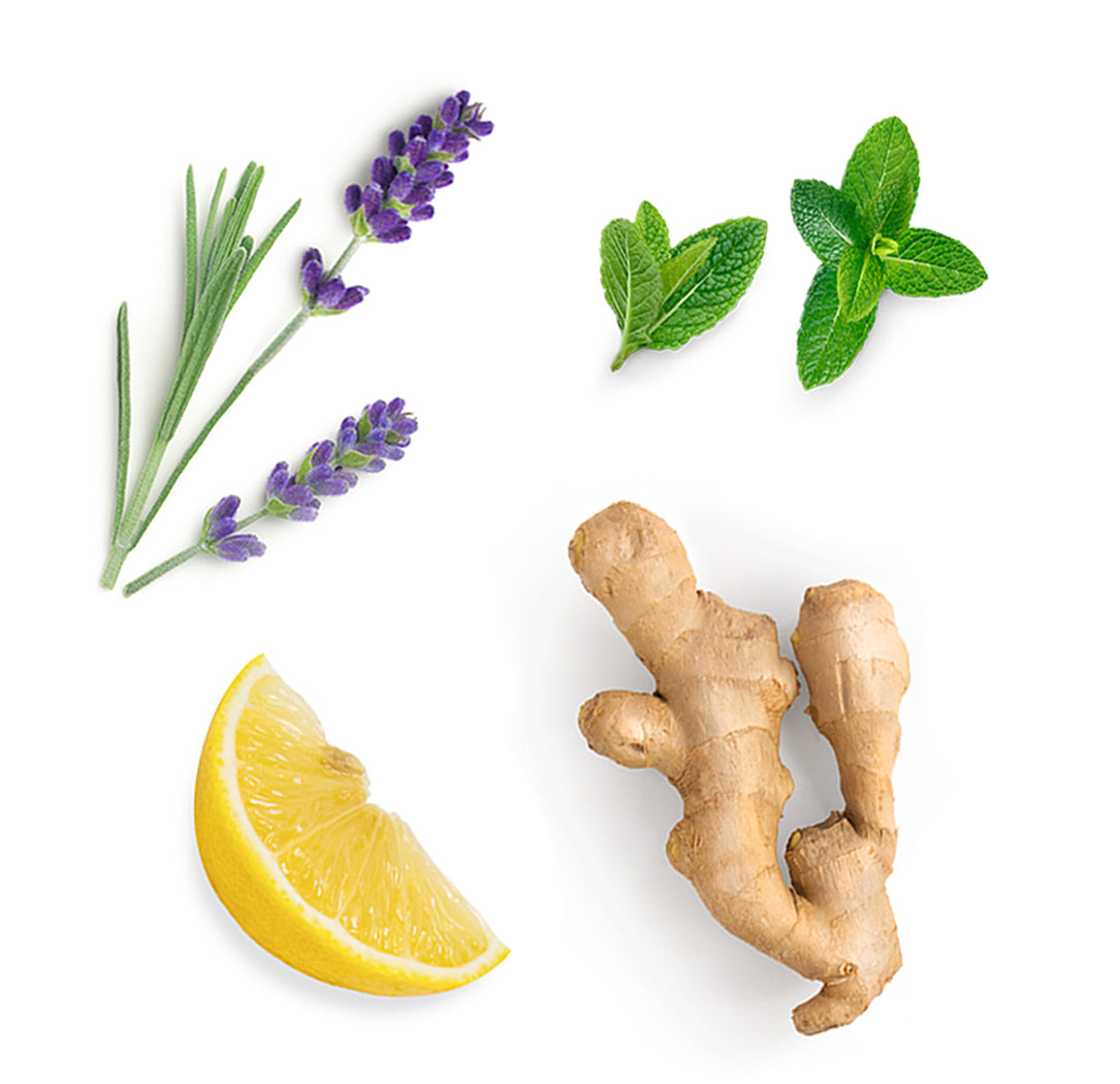Mélange nutritionnel et mélanges CE, SF, BT et BB, les ingrédients mis en avant de VMG+ dōTERRA