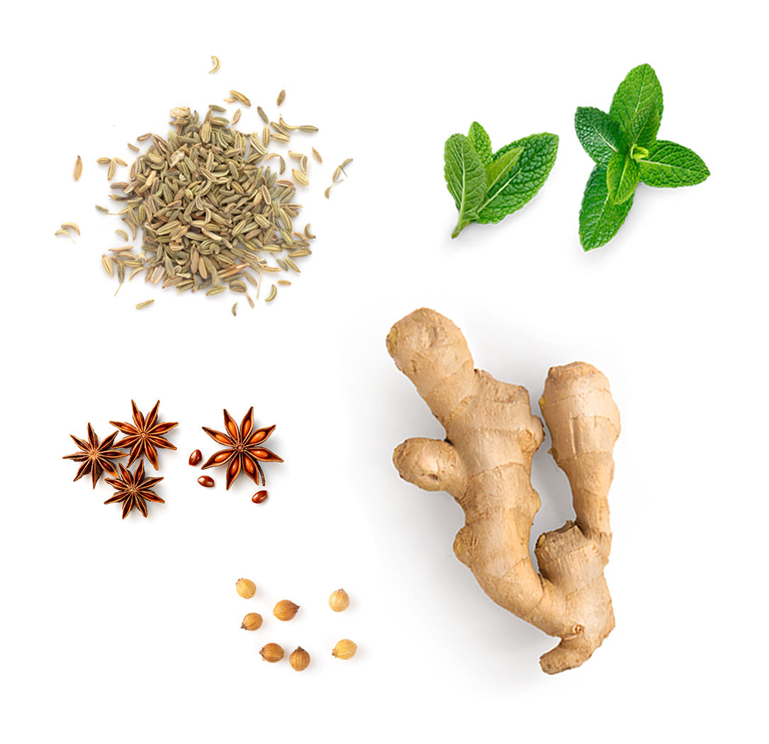 Menthe poivrée, gingembre, carvi, anis étoilé et coriandre, les ingrédients mis en avant des gélules ZenGest dōTERRA