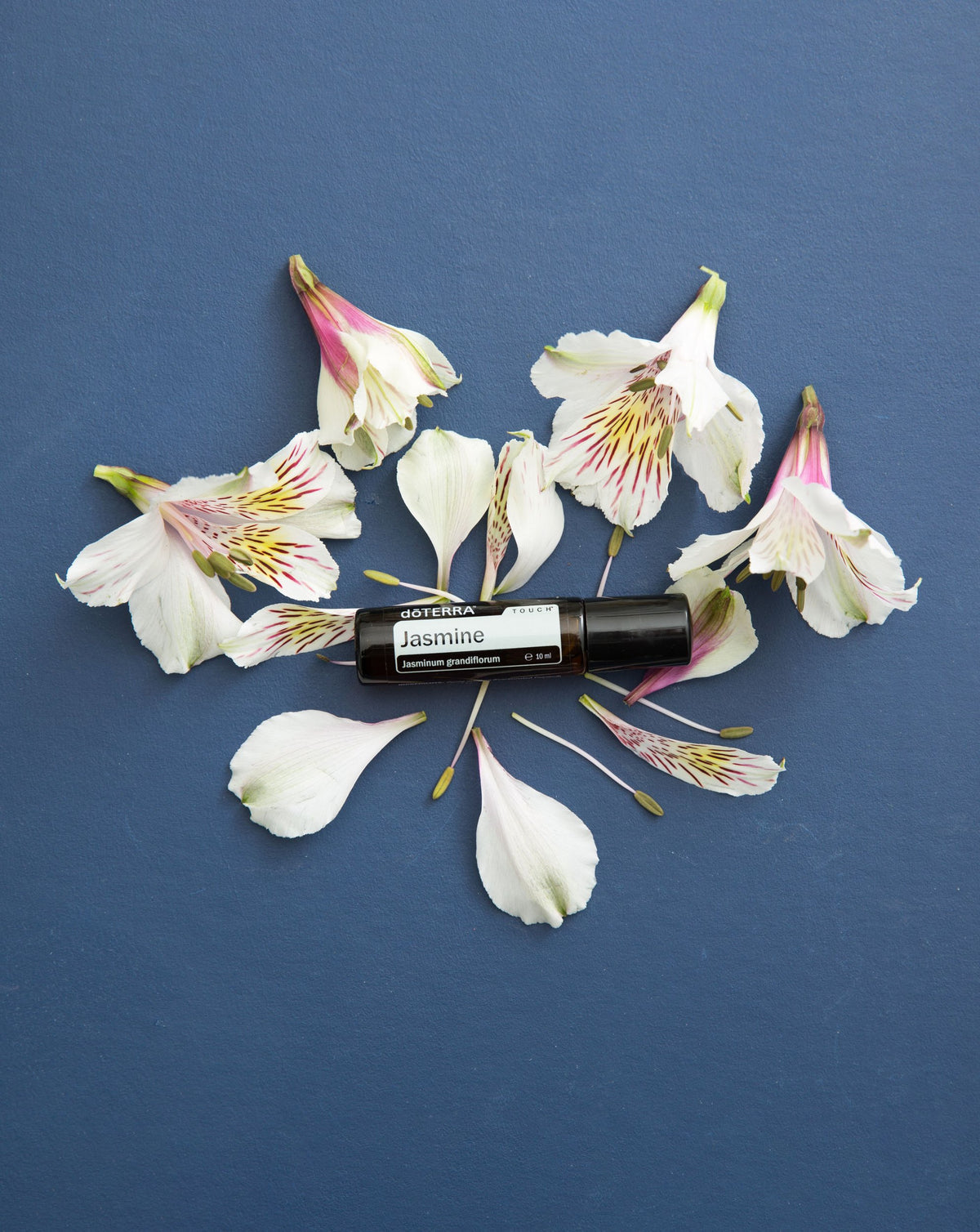 Jasmin Touch dōTERRA, flacon parmi des fleurs blanches sur fond bleu