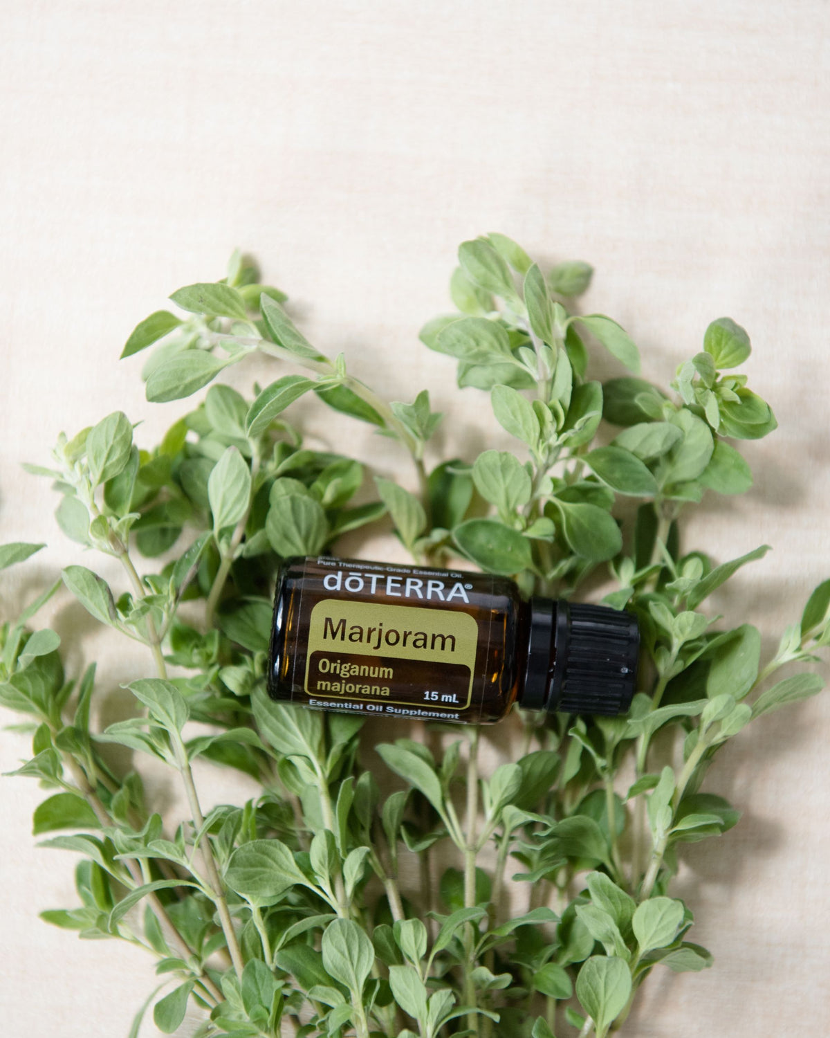 Marjolaine huile essentielle dōTERRA, sur un lit de marjolaine fraîche