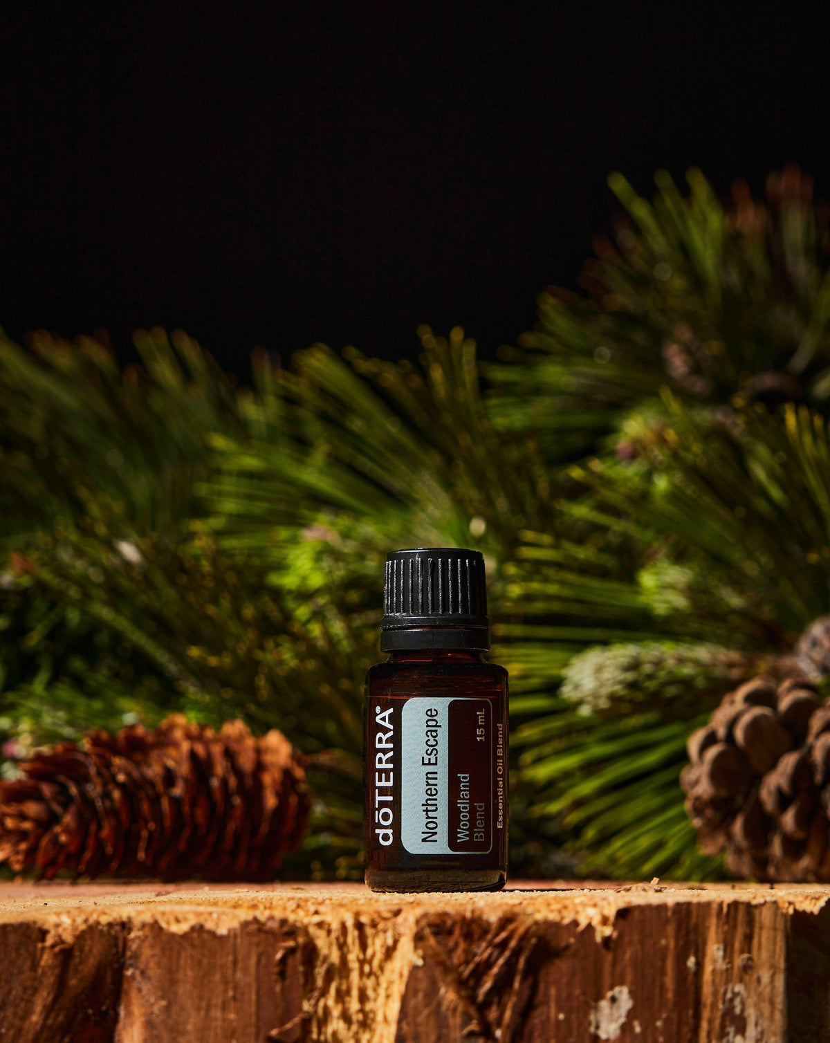 Northern Escape dōTERRA, flacon sur une souche entre les branches de pin