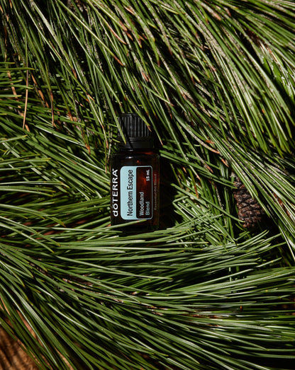 Northern Escape dōTERRA, flacon posé sur des aiguilles de pin