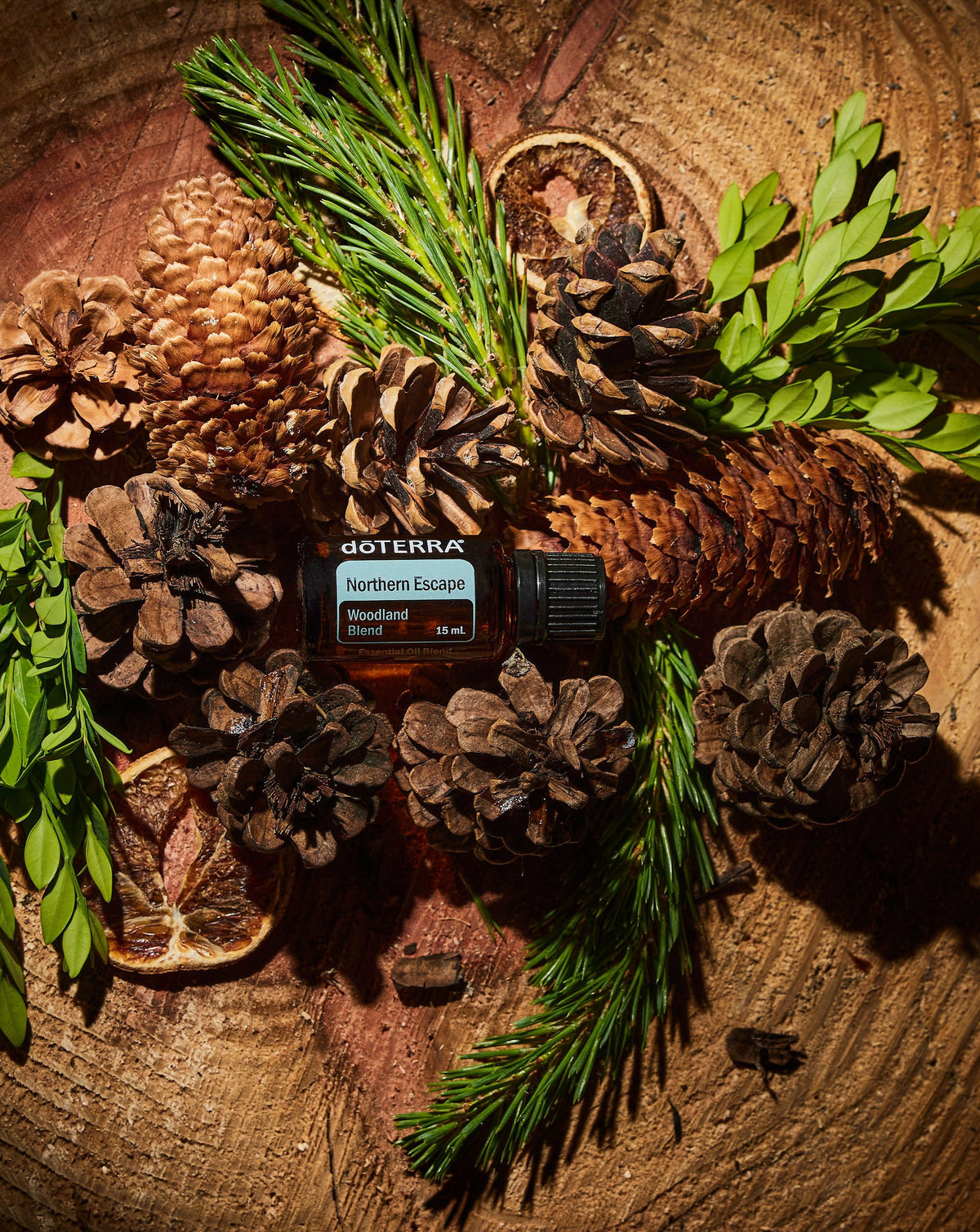 Northern Escape dōTERRA, flacon entouré de pommes de pin et de branches de sapin