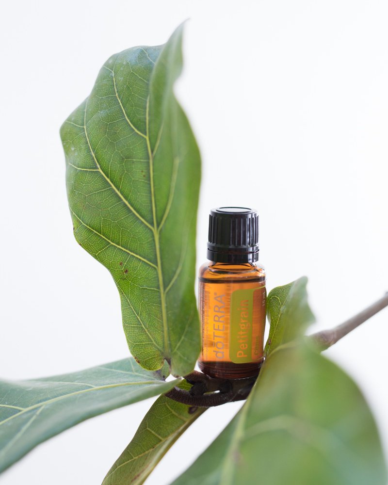 Petitgrain huile essentielle dōTERRA, parmi des feuilles vertes