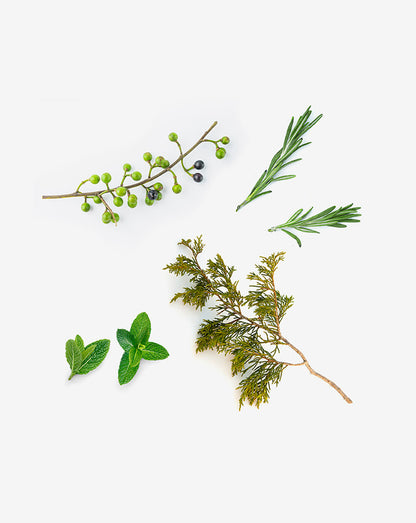 Shampooing et après-shampooing solides dōTERRA