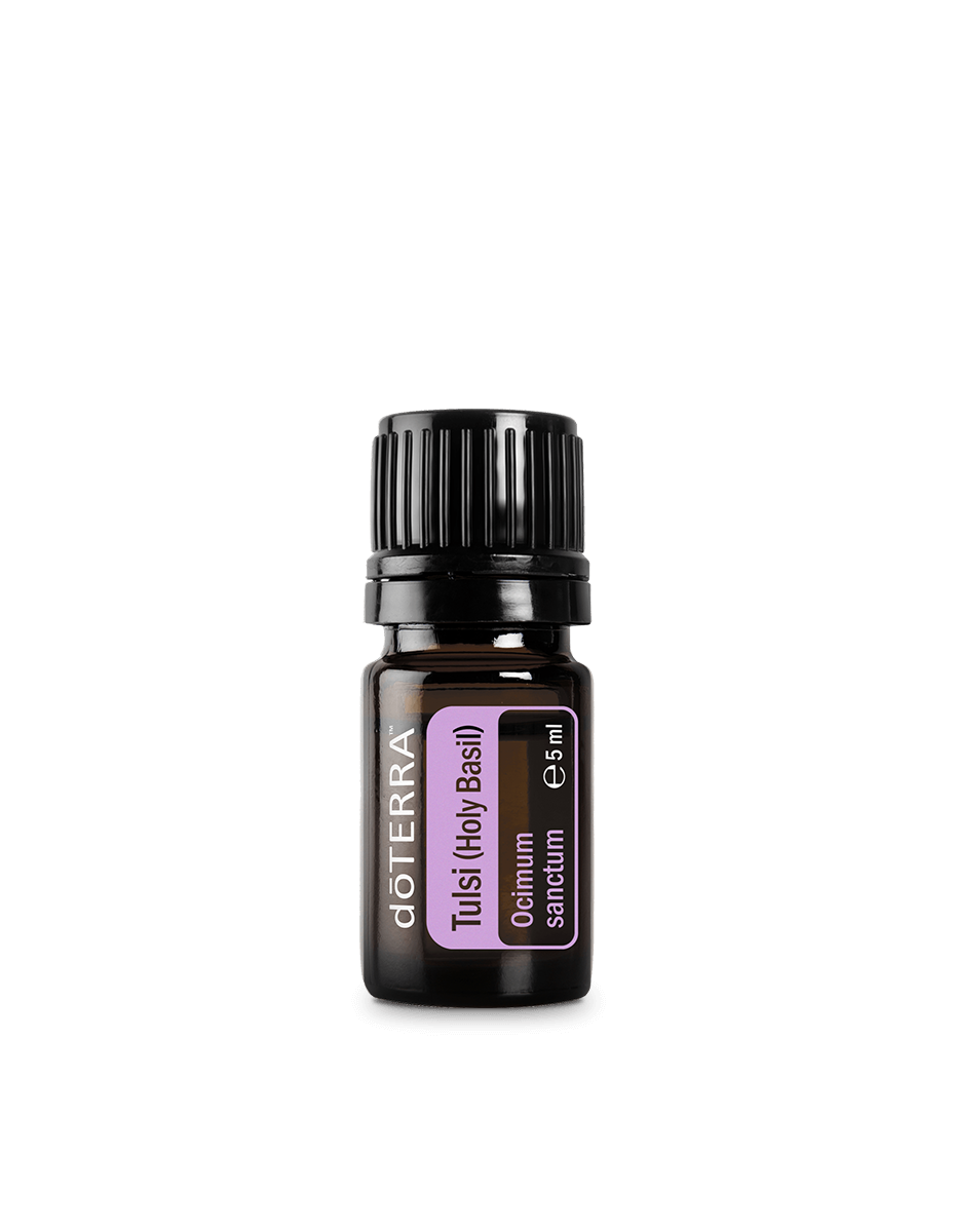 Tulsi (Basilic sacré) huile essentielle dōTERRA | 5 ml