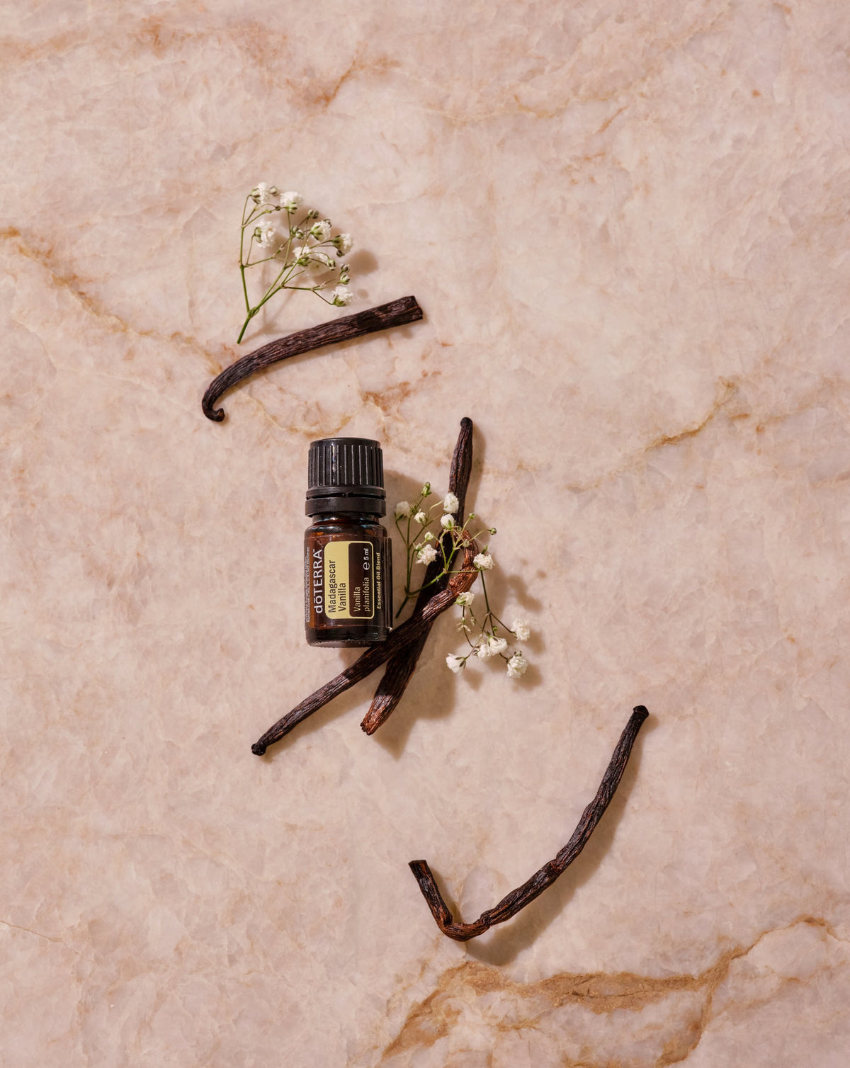 Vanille de Madagascar dōTERRA, flacon et gousses de vanille sur marbre rose