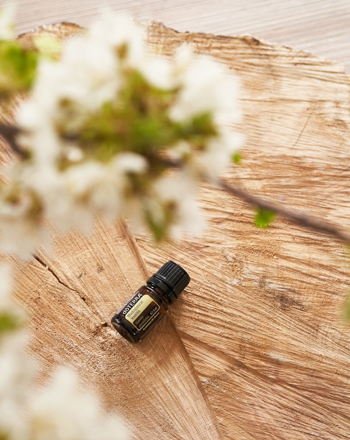 Vanille de Madagascar dōTERRA, flacon sur une planche de bois sous des fleurs blanches