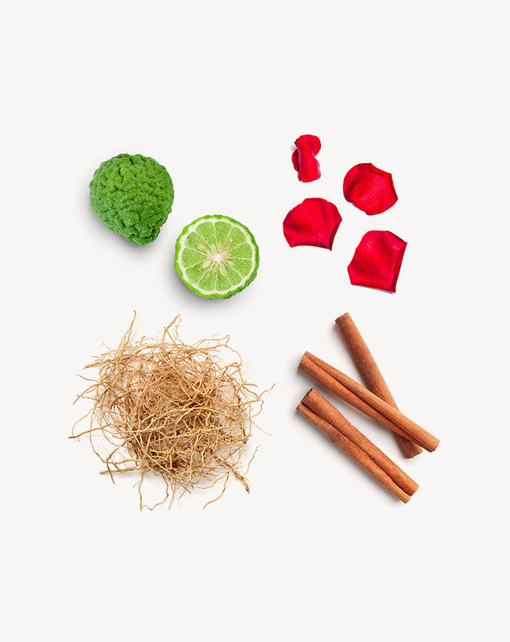 Whisper Touch dilué en applicateur à bille dōTERRA | 10 ml