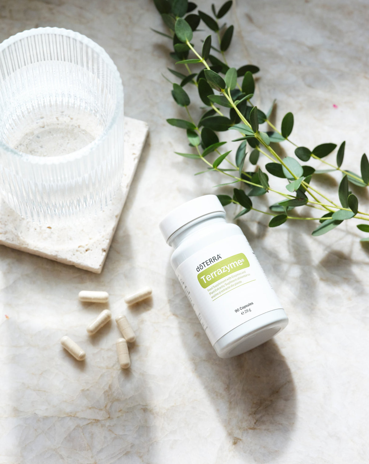 ZenGest TerraZyme dōTERRA, flacon, verre d'eau et capsules