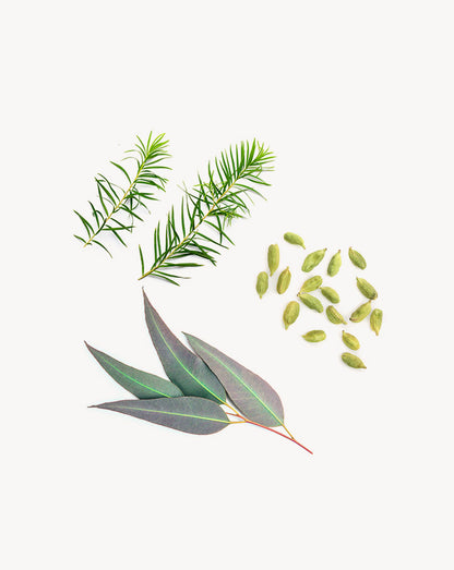 Air Touch mélange en applicateur à bille dōTERRA, 10 ml