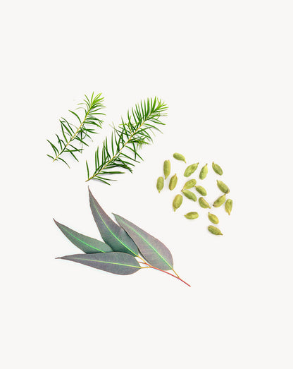 Air mélange d'huiles essentielles dōTERRA, 15 ml