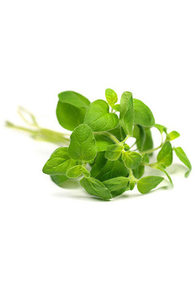 Basilic (Basil) huile essentielle dōTERRA, 15 ml