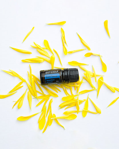 Tanaisie annuelle (Blue Tansy) huile essentielle dōTERRA, 5 ml
