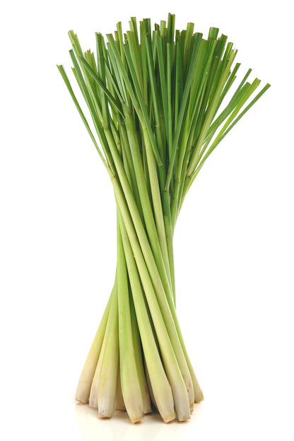 Lemongrass (Citronnelle) huile essentielle dōTERRA, 15 ml