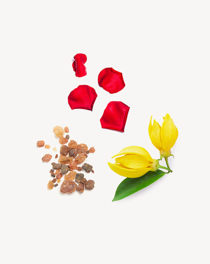 Console Touch mélange en applicateur à bille dōTERRA, 10 ml