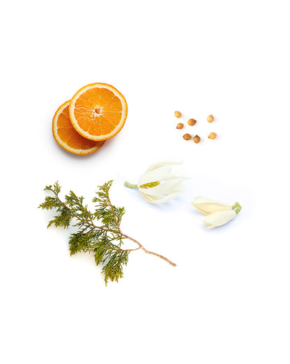Mālama mélange d'huiles essentielles dōTERRA, 15 ml
