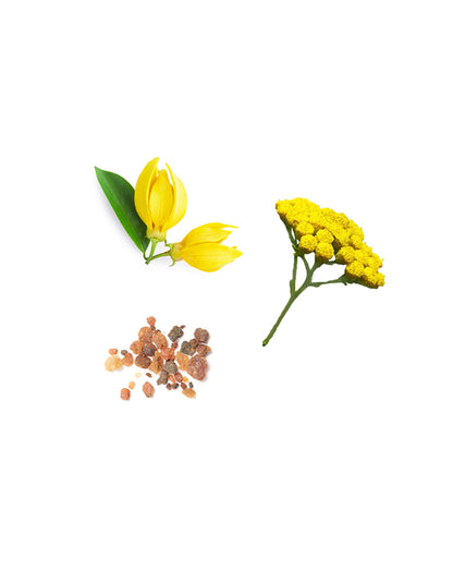 Crème anti-rides pour les yeux Essential Skin Care dōTERRA, 15 ml