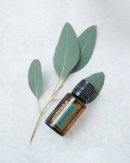 Eucalyptus radiata huile essentielle dōTERRA, 15 ml
