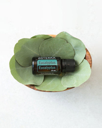 Eucalyptus radiata huile essentielle dōTERRA, 15 ml