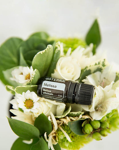 Mélisse (Melissa) huile essentielle dōTERRA, 5 ml