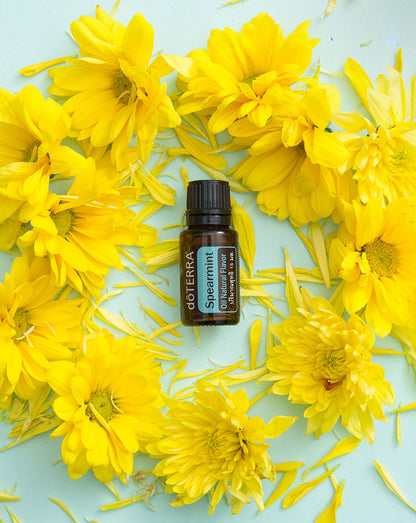Menthe verte huile essentielle dōTERRA, 15 ml