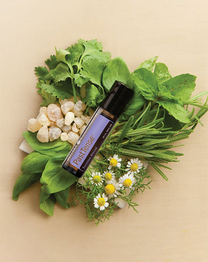 PastTense mélange en applicateur à bille dōTERRA, 10 ml