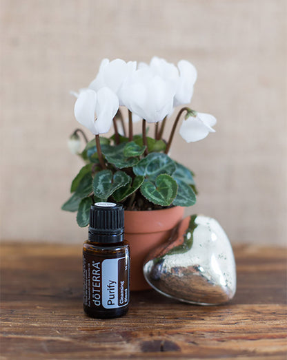 Purify mélange d'huiles essentielles dōTERRA, 15 ml