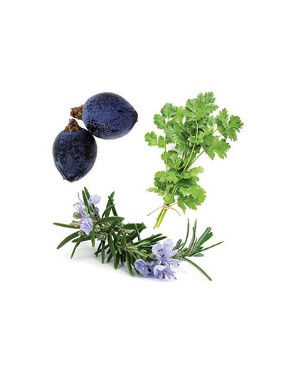 Zendocrine mélange d'huiles essentielles dōTERRA, 15 ml