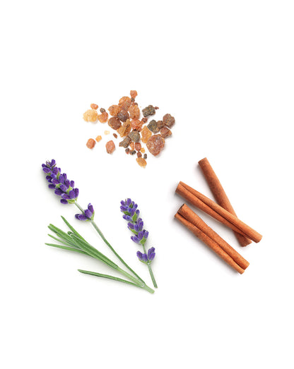 Anchor mélange stabilisant dōTERRA, 5 ml